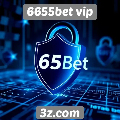 Segurança e proteção de dados no 6655bet vip